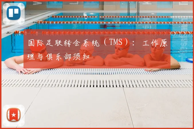 国际足联转会系统（TMS）：工作原理与俱乐部须知