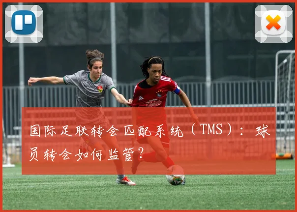 国际足联转会匹配系统(TMS):球员转会如何监管?