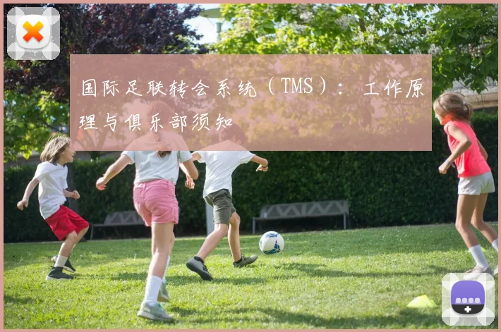 国际足联转会系统（TMS）：工作原理与俱乐部须知