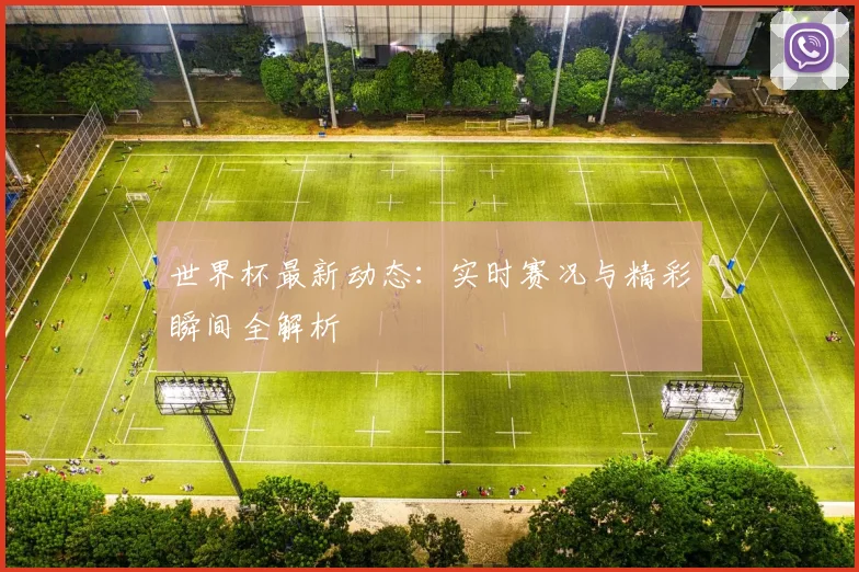 世界杯最新动态：实时赛况与精彩瞬间全解析