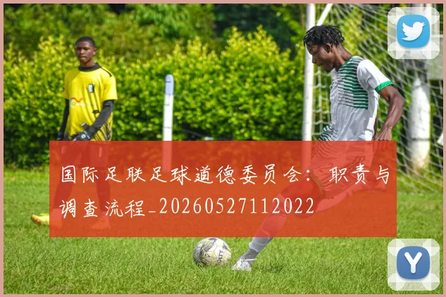 国际足联足球道德委员会：职责与调查流程_20260527112022